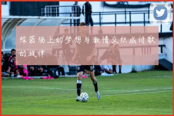 绿茵场上的梦想与激情交织成诗歌的旋律